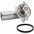 CHRYSLER Grand Voyager Freemont Journey Caravan Termostat Z OBUDOWĄ 3.6L