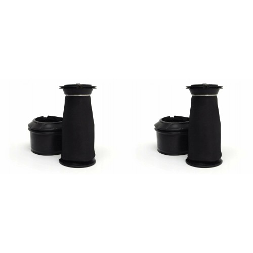 2x PODUSZKA MIECH NIVO Citroen C4 Picasso TYŁ L=P 5102GN 9676670180 GRAND